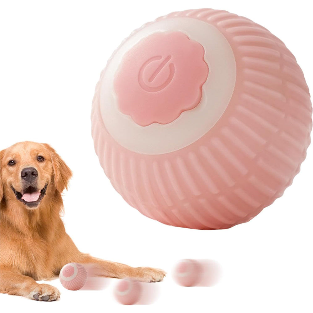 Interactive rolling pet ball toy with colorful lights for cats and dogs.