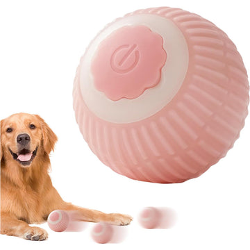 Interactive rolling pet ball toy with colorful lights for cats and dogs.