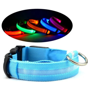 LED pet safety halo collar designed to improve nighttime visibility for dogs and cats during evening walks.